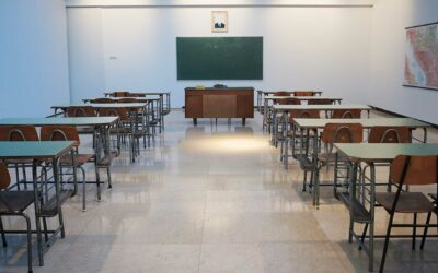 2020: Un año para repensar la educación pública